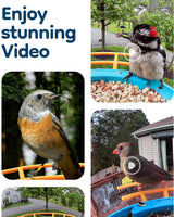 LongPlus® Smart Bird Feeder with Camera, Bird Feeders Camera Wireless Outdoor with Solar Powered,AI Identify,Smart Bird Camera Auto Capture Videos,Instant Notification,Ideal Gift for Mom Bird Lovers LongPlus