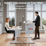 DSNAPE Electric Standing Desk with Drawers,48x24 Inch Electric Desk Adjustable Height with Side Storage,Sit Stand Desk for Home and Office,White DSNAPE
