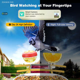 Viubird Bird Feeder with Camera: Solar Powered Smart Bird Camera Feeder 2K Live Feed for Backyard - AI Identify Auto Capture Videos, Gifts for Birdlovers Mom Dad, 2.4GHz WiFi VIUBIRD
