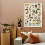 Vintage Mushroom Puzzle 1000 Pieces for Adult, Vintage Fungi Jigsaw Puzzle of 25 Edible Mushrooms, Champignons Plant Puzzle for Mycophile BBOLDIN