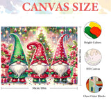 igoodom Paint by Numbers Kit for Adults – Christmas Gnome Adult Paint-by-Number on Canvas, DIY Acrylic Painting Set for Home Decor, 20x16in igoodom