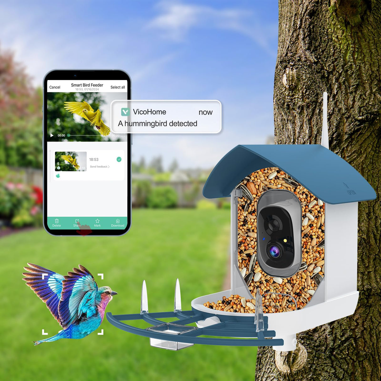 Bird Feeder with Camera,AI Identify Birds Species,Smart Birds Camera with Solar Powered,Auto Record 1080P Birds Video in Backyard,Instant Notifications,Ideal Gifts for Family and Bird Lovers,Navy Blue Fazoxo