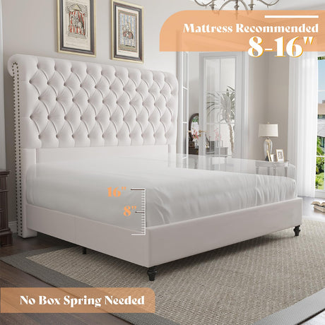 AMERLIFE King Size Bed Frame 60" Tall Sleigh Headboard Bed with Velvet Upholstered Platform, No Box Spring Needed, Cream AMERLIFE