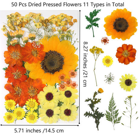 50 Pcs Dried Flowers for Resin,Real Pressed Flowers Leaves Mixed Multiple Natural Kit for Christmas DIY Gift,Art Crafts,Candle, Soap Making, Nails Decor Flyekist