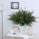 YXZZWL 8 Pcs Christmas Norfolk Pine Branches, 36 Inch Real Touch Artificial Norfolk Pine Branch Faux Cedar Pine Stem Fake Greenery Pine Picks for Vase DIY Garland Wreath Home Garden Decoration YXZZWL