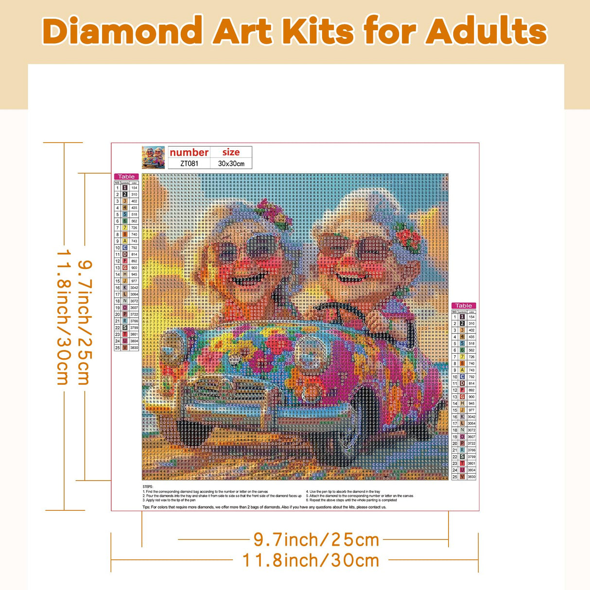 TOSTOG Grandmas Diamond Art Kits for Adults, Funny Grandma Drivers Diamond Paintings for Adults, Full Drill Diamond Art Kits, 5D Diamond Paintings Kit Gem Painting Wall Decor and Gift 12 * 12 Inch. TOSTOG