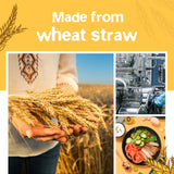 Teivio 32-Piece Kitchen Plastic Wheat Straw Dinnerware Set, Service for 8, Unbreakable Modern Dish Set - Dinner Plate/Dessert Plate/Cereal Bowl/Cup, for Apartment Essentials, Outdoor Camping,Black Teivio