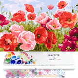 BAISITE Paint by Numbers Kit for Adults Beginners,20" Wx16 L Canvas for Painting Kits for Adults in Colorful Box Poppy Flowers-BSC001 BAISITE
