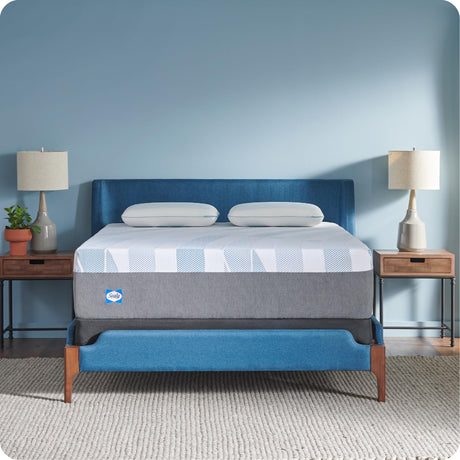Sealy Dreamlife 14” Hybrid Mattress-in-a-Box, Twin, SealyComfort Gel Memory Foam, SealyResponsive Encased Coils, Machine Washable Cover Sealy