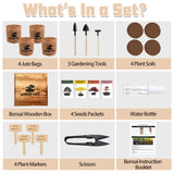 Sproutix Bonsai Garden Starter Kit, 4 Seeds Growing into Sakura, Ginkgo, Black Pine, Red Flame, Including Complete Gardening Tools & A Wooden Box with Cover, Christmas Gifts for Men Women Beginners SPROUTIX