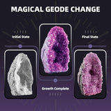 GobiDex Geodes Growing Science Kit for Kids Age 6-8-12, Geodes with Crystals Grow Fast in (24H), STEM Educational Science Experiments Toys, Geology & Rock Enthusiasts Collection, Gifts for Boys Girls GobiDex