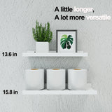 Solrot White Floating Shelves for Wall Decor, Wall Mounted Wood Storage Shelf for Bedroom, Living Room, Bathroom, Kitchen, Nursery, Display Picture Ledge Shelf with Lip Set of 2-14 Inches, White Solrot