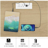 Irontar Set of 2 Rattan Nightstand with Charging Station, Night Stand with 3 Large Rattan Drawers, Accent End Table, Bedside Table with Solid Wooden Legs for Bedroom, Natural BZZ006ME02 Irontar