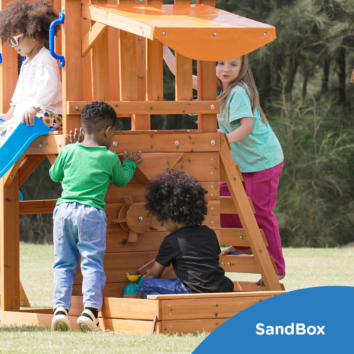 Dolphin Playground Outdoor Wooden Swing Sets for Backyard with Slide, Playground Sets for Backyards with Sandbox, Rock Climbing Wall, and 2 Belt Swings, Outdoor Playset for Kids Ages 3-6 DOLPHIN PLAYGROUND T