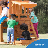 Dolphin Playground Outdoor Wooden Swing Sets for Backyard with Slide, Playground Sets for Backyards with Sandbox, Rock Climbing Wall, and 2 Belt Swings, Outdoor Playset for Kids Ages 3-6 DOLPHIN PLAYGROUND T