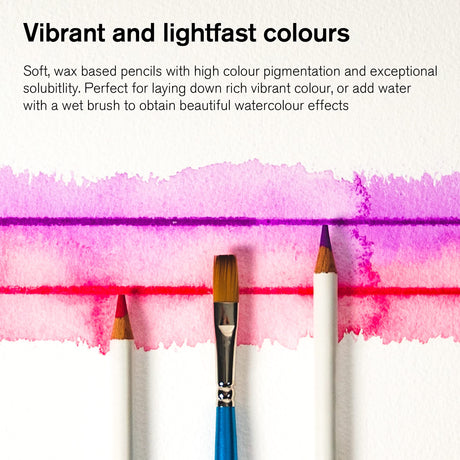 Winsor & Newton Studio Collection Artist Pencils, Watercolor Pencils, Set of 12 Winsor & Newton