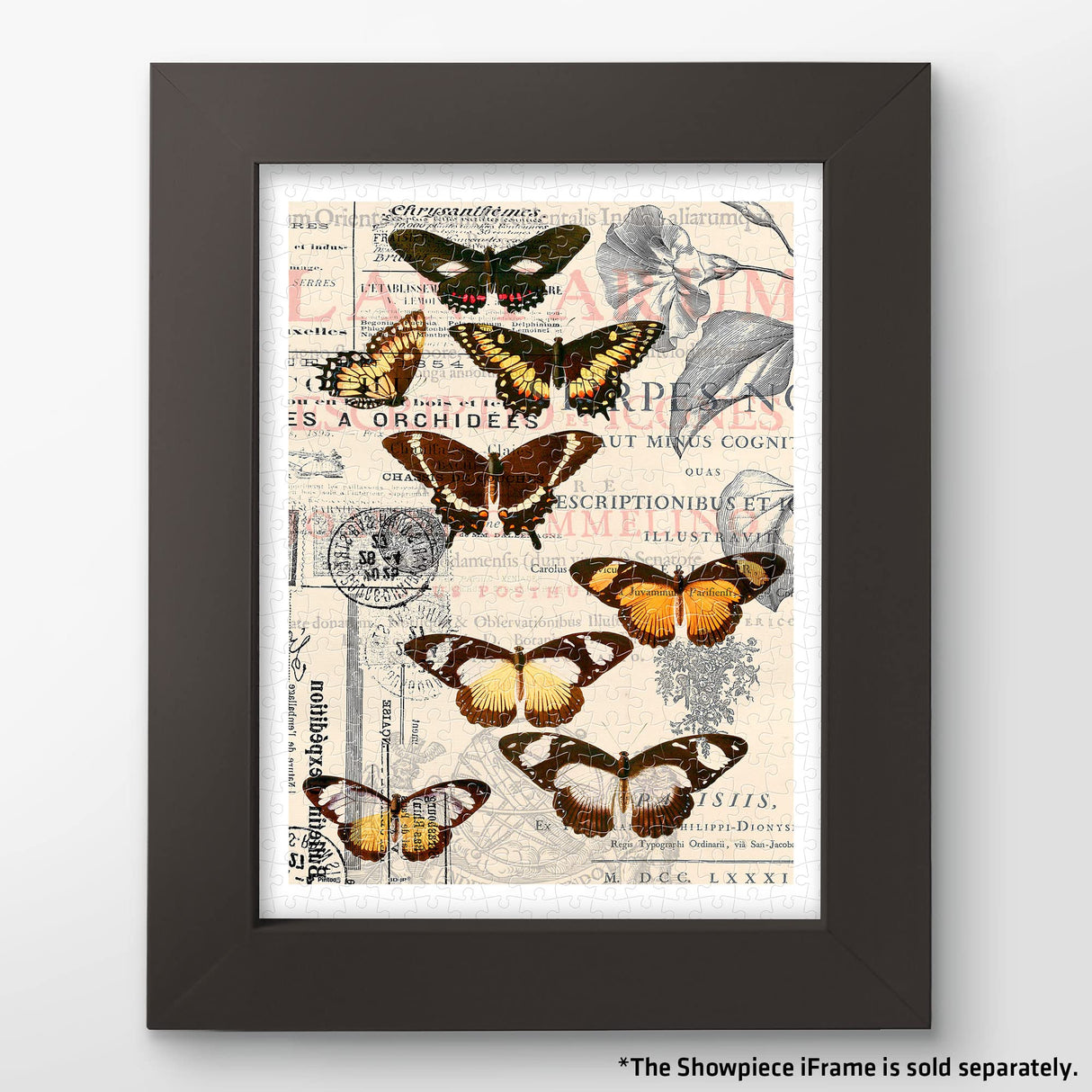 Pintoo Jigsaw Puzzles 300 Piece for Adults - Butterfly Pattern Easy Storage Snug Interlocking Plastic Puzzle No Glue Required [H1584] Pintoo