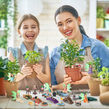 Shellwei 50 Pcs Garden Accessories Miniatures Small Fairies Kit with Luminous Wings Animals Cute Tiny Mushroom Mini Pond Bridge Figurine Micro Landscape Ornaments for Home Garden Shellwei