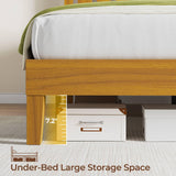 Rolanstar Queen Bed Frame with Headboard, Charging Station and LED Lights, Wooden Bed Frame Foundation with Wood Slat Support, No Box Spring Needed, Pine Rolanstar