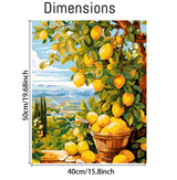 Lemon Paint by Numbers Kits for Adults, DIY Lemon Tree Adult Paint by Number Kits on Canvas, Digital Oil Number Painting for Home Decor (16x20 Inch) Clendo