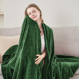 Inhand Fleece Throw Blankets, Super Soft Flannel Cozy Blankets for Adults, Washable Lightweight Blanket for Couch Sofa Bed Office, Warm Plush Blankets for All Season (50"×60", Green) inhand