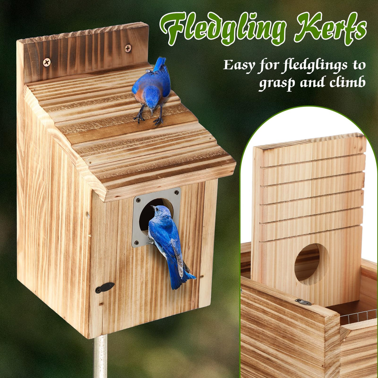 Dreyoo 2 Pack Cedar Bluebird Box Houses for Outside, 1-1/2” Entrance Hole Wooden Bird Houses with Metal Predator Guard, Secure Latch, Fledgling Grooves, Air Vents for Bluebird Wren Swallow Finch Dreyoo