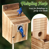 Dreyoo 2 Pack Cedar Bluebird Box Houses for Outside, 1-1/2” Entrance Hole Wooden Bird Houses with Metal Predator Guard, Secure Latch, Fledgling Grooves, Air Vents for Bluebird Wren Swallow Finch Dreyoo