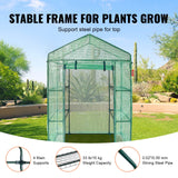 VEVOR Walk-in Green House, 55.5 x 29.3 x 80.7 inch, Portable Greenhouse with Shelves, High Strength PE Cover with Roll-up Zipper Door and Steel Frame, Set Up in Minutes, for Planting and Storage VEVOR