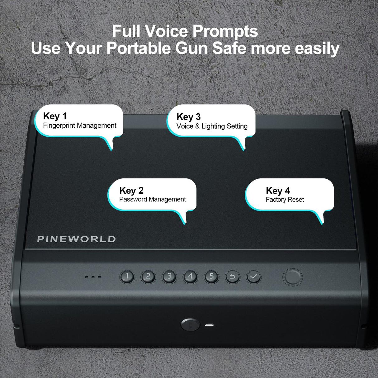 PINEWORLD Biometric Gun Safe For Handgun, Pistol Safe With Fingerprint Backlit Keypad, Quick Access Handgun Safe for Firearm, Gun Lock Box With Interior Light Cable For Nightstand Car Large Size PINEWORLD