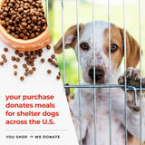 iHeartDogs Dog Memorial Gifts - Forever My Guardian Angel Garden Solar Light - Pet Memorial Stone iHeartDogs