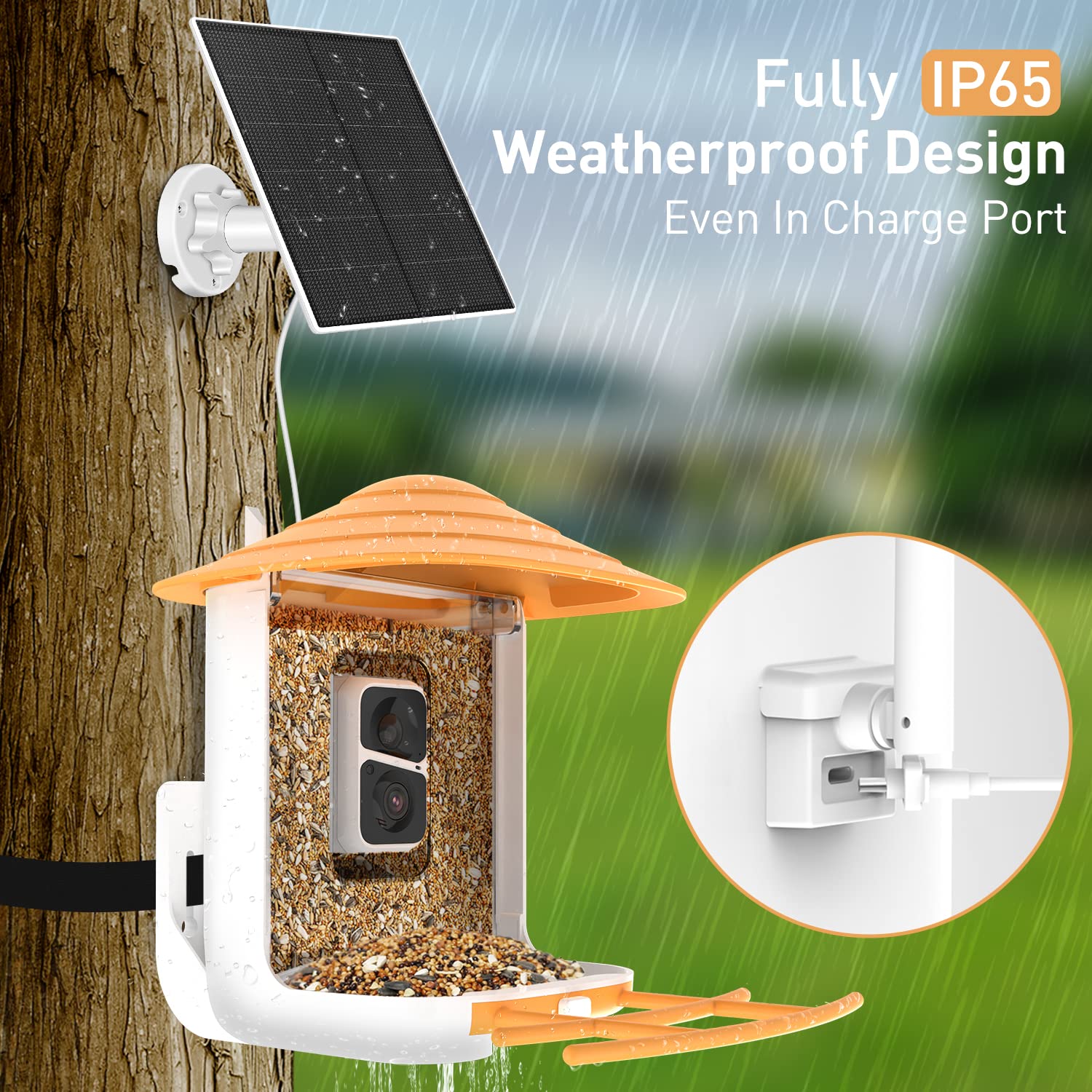 SOLIOM BF09 Bird Feeder with Camera Wireless Outdoor,Smart Bird Feeder Camera with AI Identify Bird Species,Backyard Bird Watching Gift for - WoodArtSupply