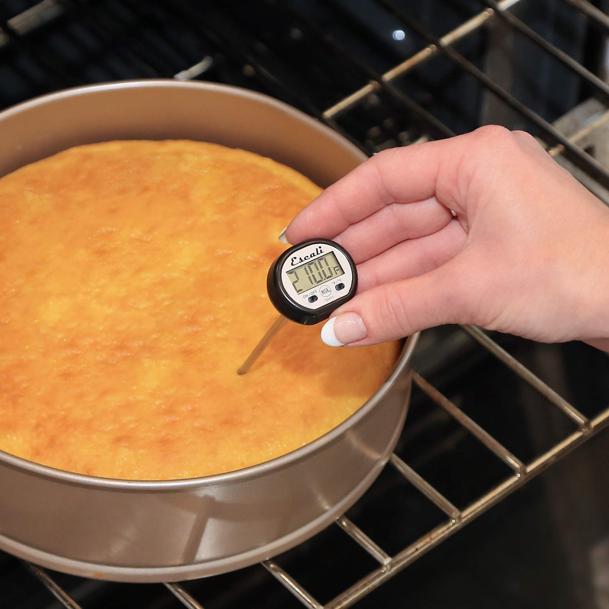 Escali Digital Display Kitchen Thermometer, Target Cooking for Meat, Anti Roll Design Extend Probe Holder NSF Certified Escali