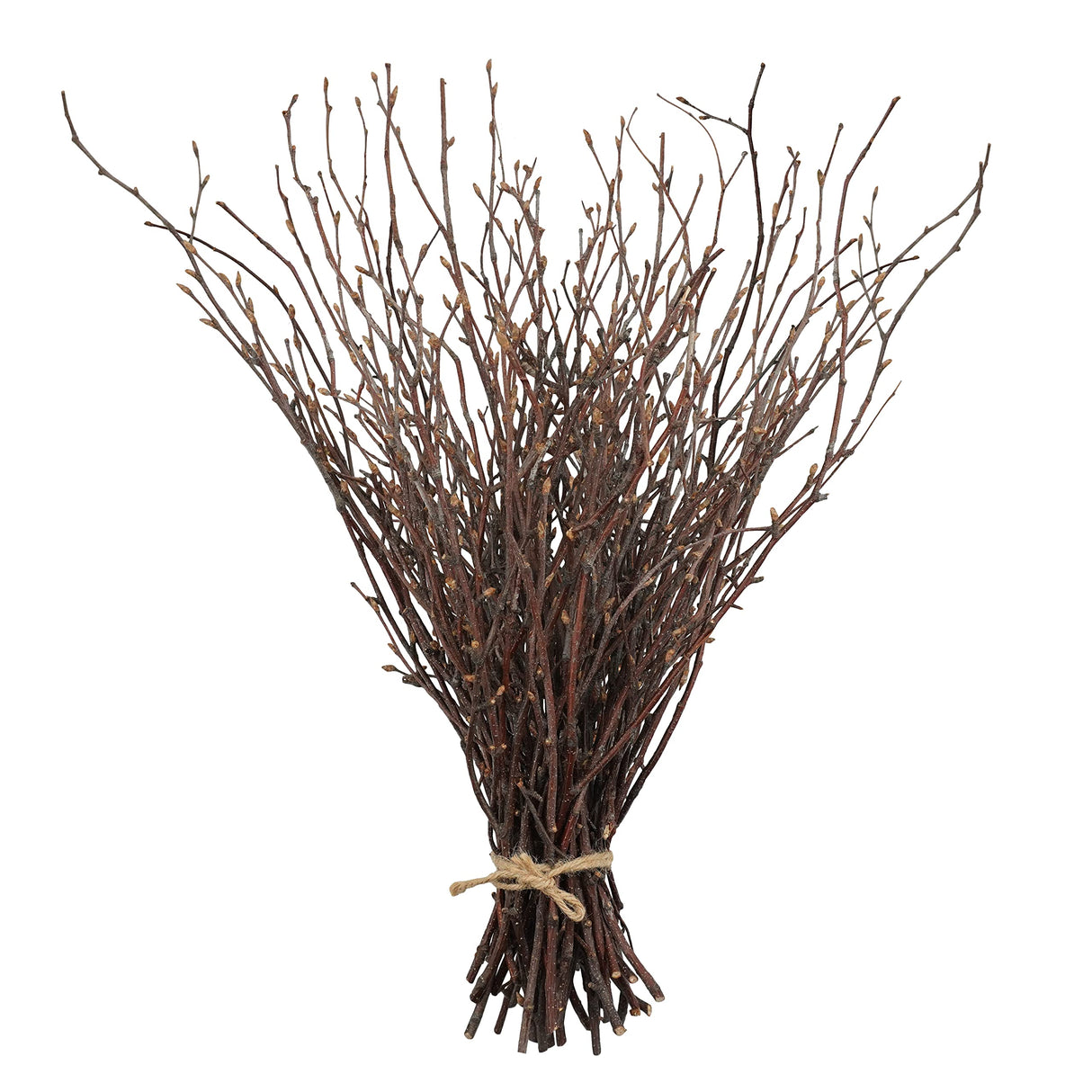 Uieke 50PCS Birch Twigs – 17 Inch Natural Dried Plants Decorative Birch Branches for DIY Crafts, Birch Sticks for Vases Wedding Arrangements Home Wreath Decor Uieke