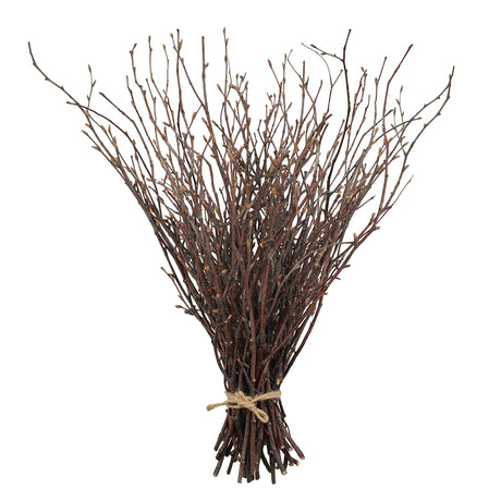 Uieke 50PCS Birch Twigs – 17 Inch Natural Dried Plants Decorative Birch Branches for DIY Crafts, Birch Sticks for Vases Wedding Arrangements Home Wreath Decor Uieke