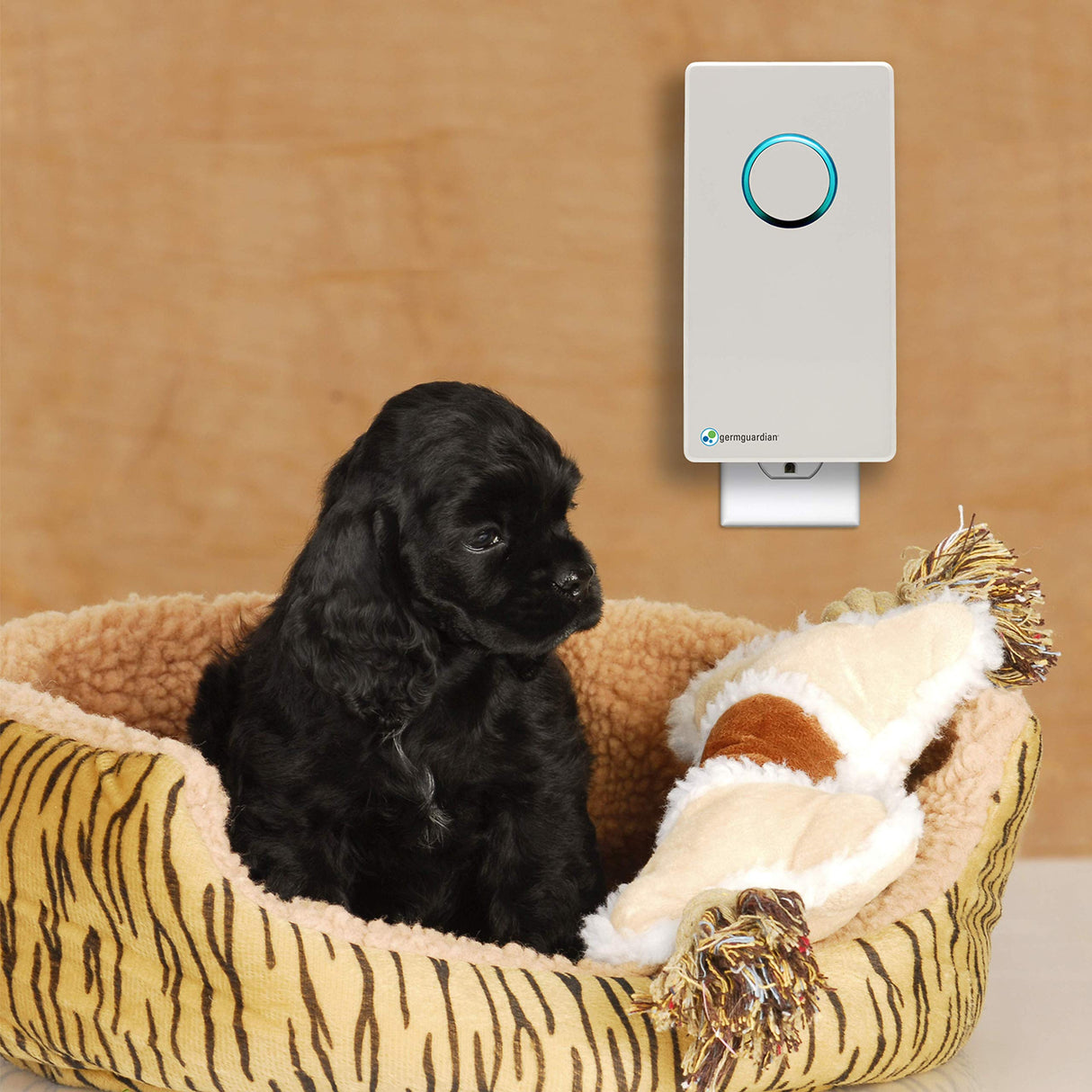 Germ Guardian GG1100W 7” Pluggable Small Air Purifier, Small Room Wall Air Sanitizer, Freshens Air, UV-C Light Kills Germs, Reduces Odors from Pets, Cooking, Mold, GermGuardian, 1-Yr Wty (White) GermGuardian