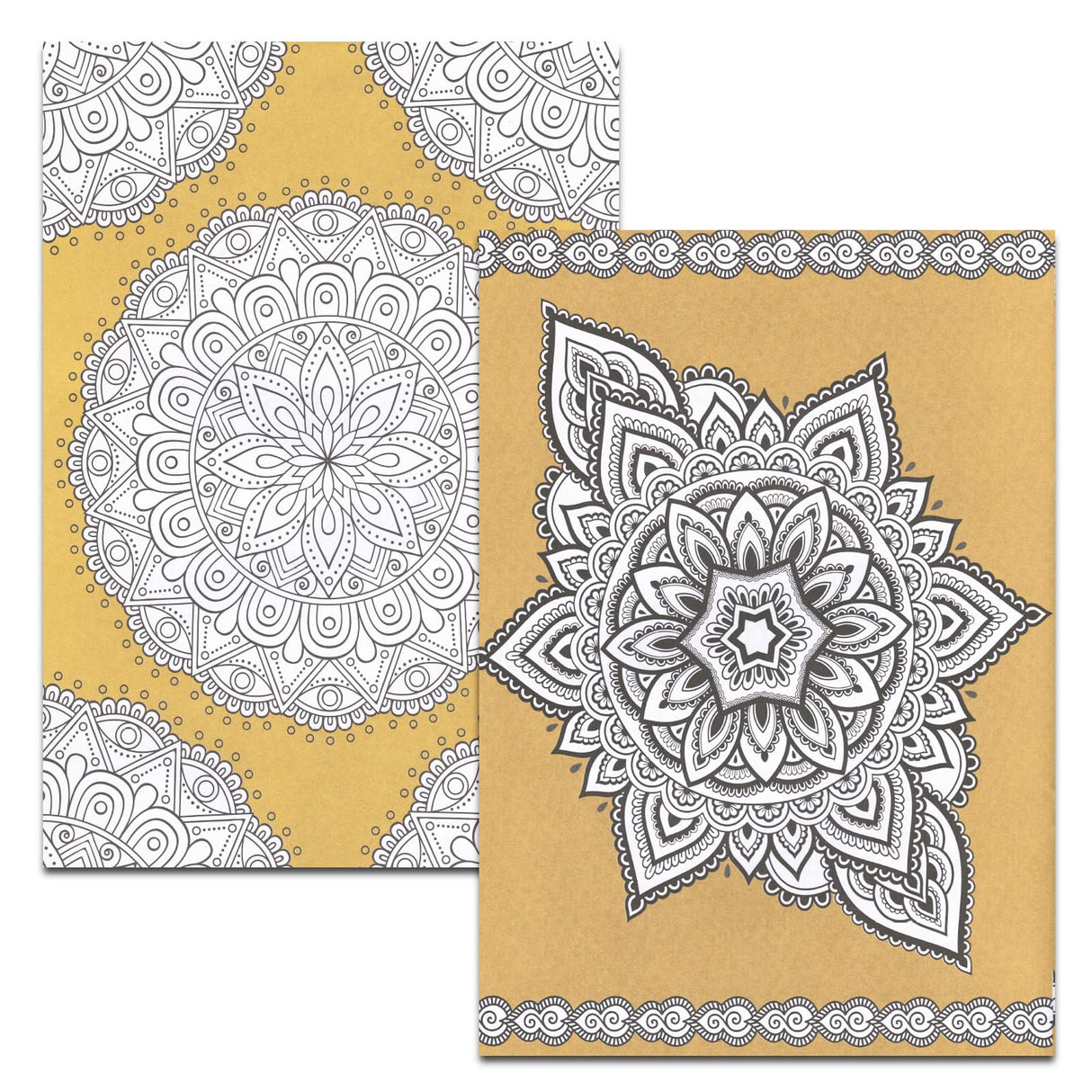 Animal Coloring Book Set - Pack of 3 Premium Adult Coloring Books Featuring Turtles, Pets, Wolves and More | Animals Collection for Adults Bendon