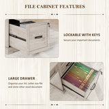 Whalefall 55'' Farmhouse Desk Home Office with Drawers, Executive Computer Desk Wooden with File Cabinet and Charging Station, White Wash Gray Whalefall