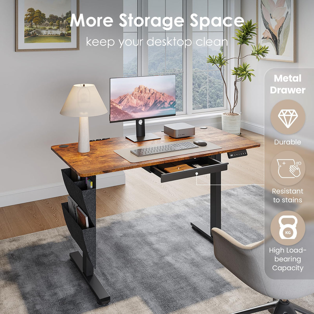 DSNAPE Electric Standing Adjustable Desk with Drawers, 48" x 24" Sit Stand Up Desk Adjustable Height with Side Storage for Home and Office, Rustic Brown DSNAPE