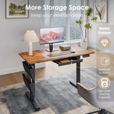 DSNAPE Electric Standing Adjustable Desk with Drawers, 48" x 24" Sit Stand Up Desk Adjustable Height with Side Storage for Home and Office, Rustic Brown DSNAPE