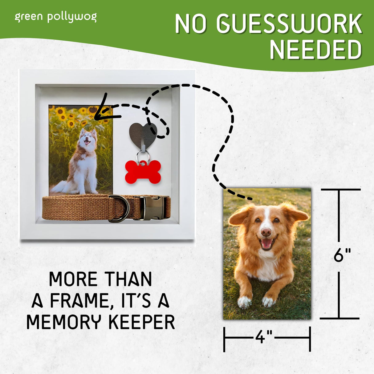 Green Pollywog Pet Memorial Shadowbox with Photo, Tag & Collar Display | White Frame with 4” x 6” Picture Opening | 10” x 10” x 2.5” Keepsake Box Green Pollywog