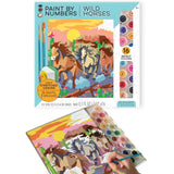 Bright Stripes Paint by Numbers Kit for Kids: Easy to Follow Paint by Numbers Canvas with Frame Kids Paint Kit (Wild Horses) Bright Stripes