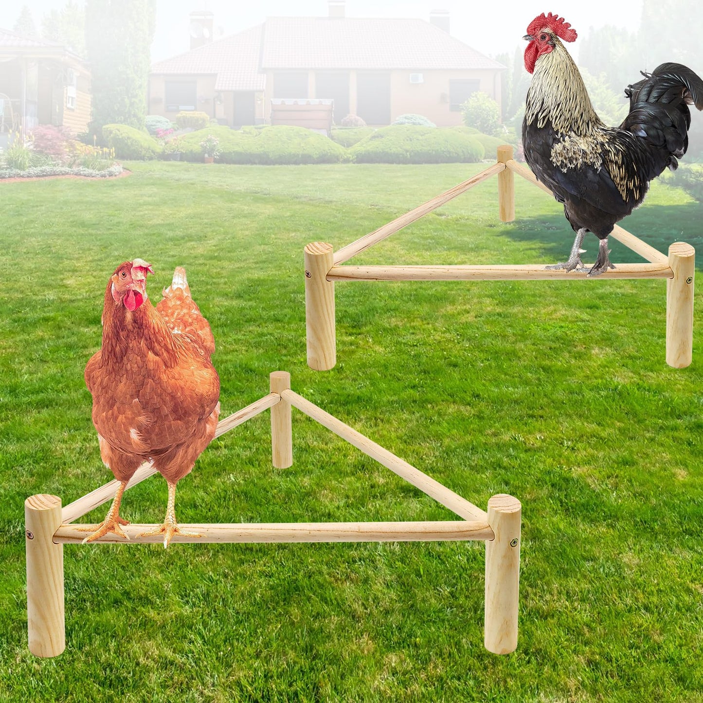 Chicken Toys, Chicken Coop Accessories, Chicken Perch, Strong Roosting Bar for Coop & Brooder, Chicken Perches Roosting, Training Perch for Large Bird, Parrots, Macaw, Chicken Wood Stand for  - WoodArtSupply