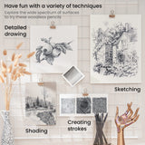 ARTEZA Woodless Graphite Pencils, Set of 12, HB, 2B, 4B, 6B, 8B, and EE ARTEZA