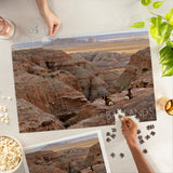 Badlands National Park, South Dakota, Rams Resting (1000 Piece Puzzle, Challenging Jigsaw Puzzle for Adults, Made in USA) Lantern Press