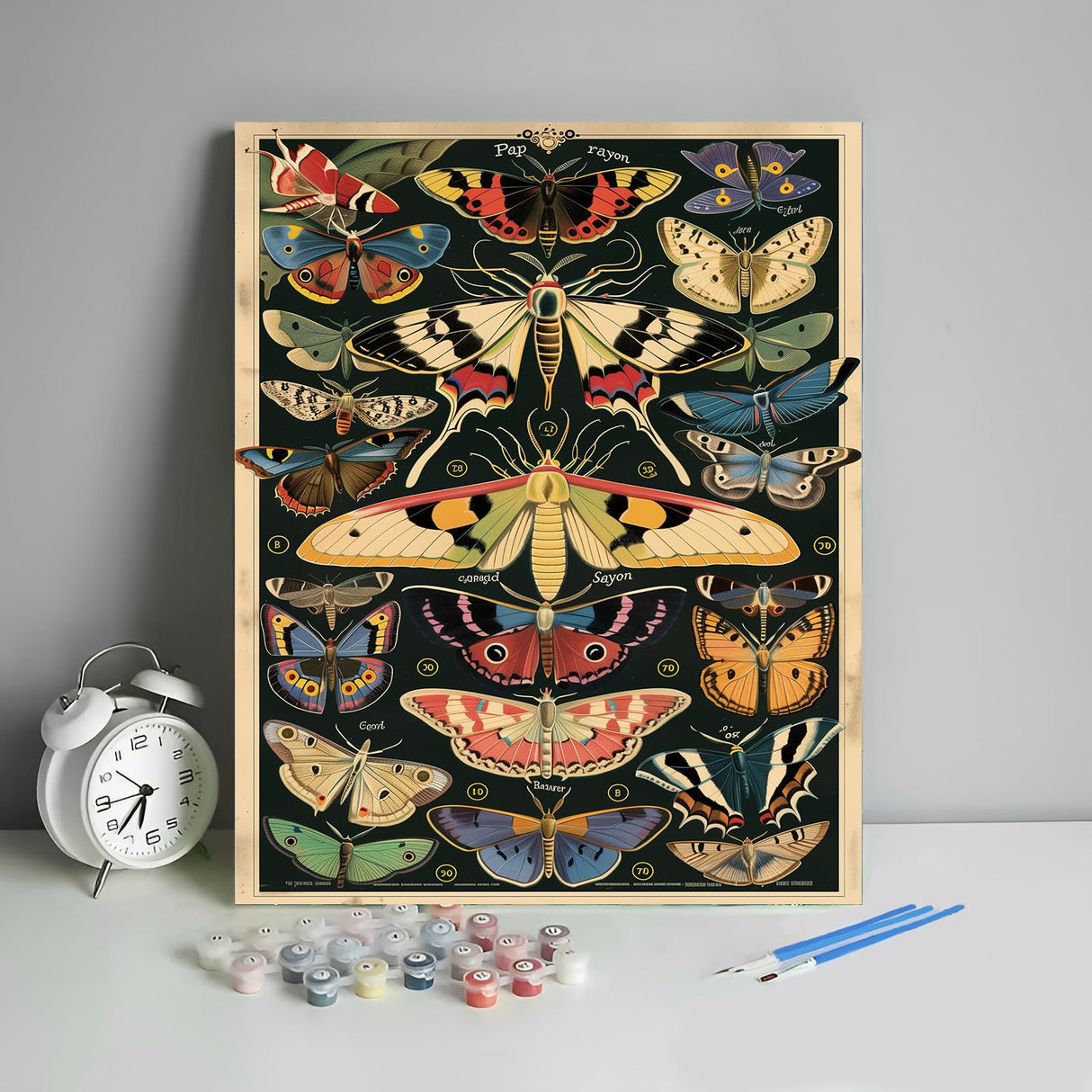 HULDFRDA Paint by Numbers Kit for Adults Butterflies and Moths Paint by Numbers Insect Paint by Number Kits DIY Oil Painting by Numbers Adults' Paint-by-Number Kits Home Wall Decor,16x20 Inch HULDFRDA