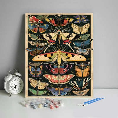 HULDFRDA Paint by Numbers Kit for Adults Butterflies and Moths Paint by Numbers Insect Paint by Number Kits DIY Oil Painting by Numbers Adults' Paint-by-Number Kits Home Wall Decor,16x20 Inch