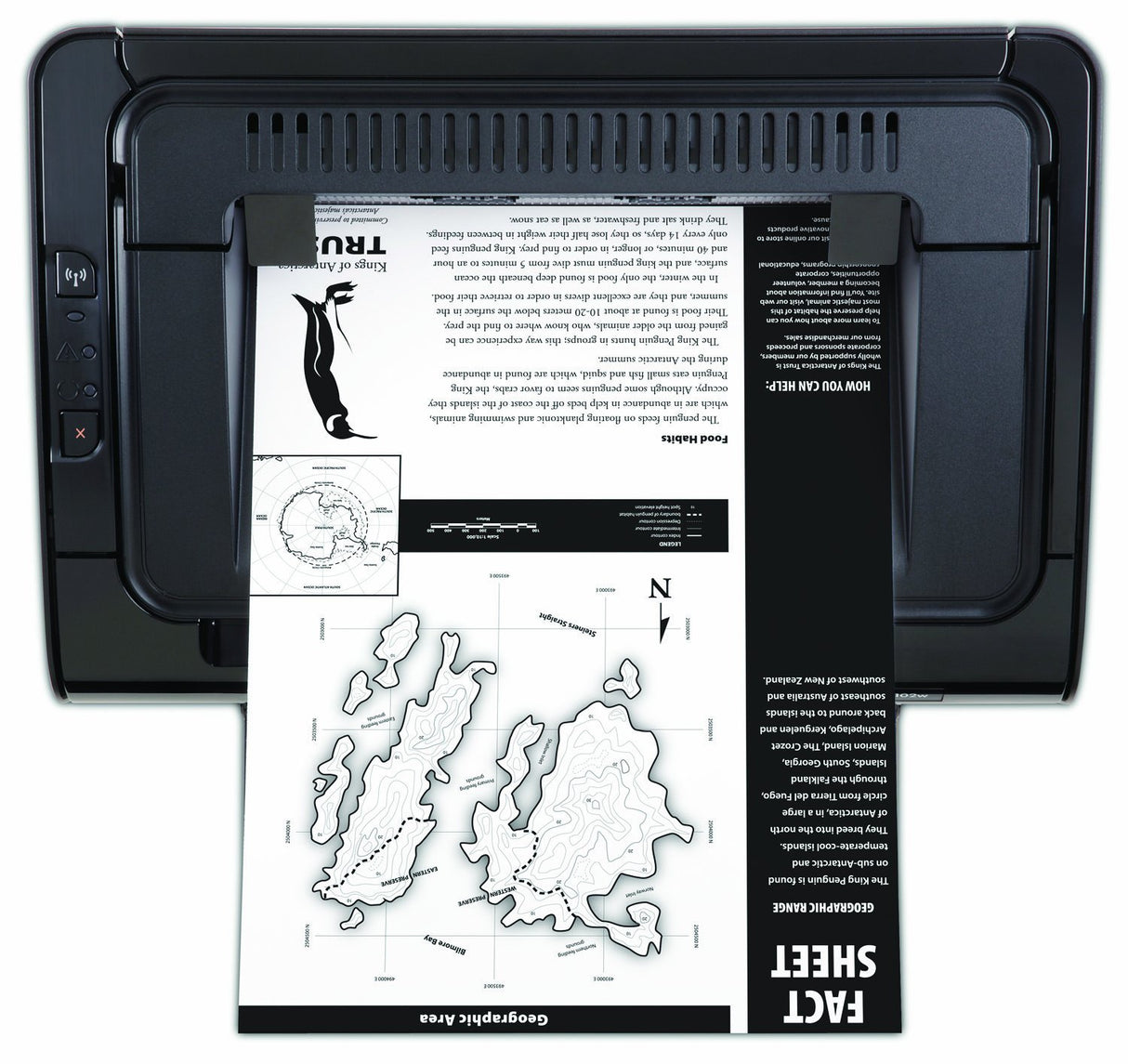 HEWCE658A - HP LaserJet Pro P1102W Laser Printer - Monochrome - 600 x 600 dpi Print - Plain Paper Print - Desktop (Renewed) HP