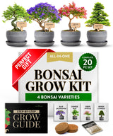 HOME GROWN Bonsai Tree Kit – Grow 4 Bonsai Types Indoors with Complete Starter Kit Including Pots Peat Pellets and Bonus Grow Guide – Unique Gardening Gift for Men Women Beginners HOME GROWN