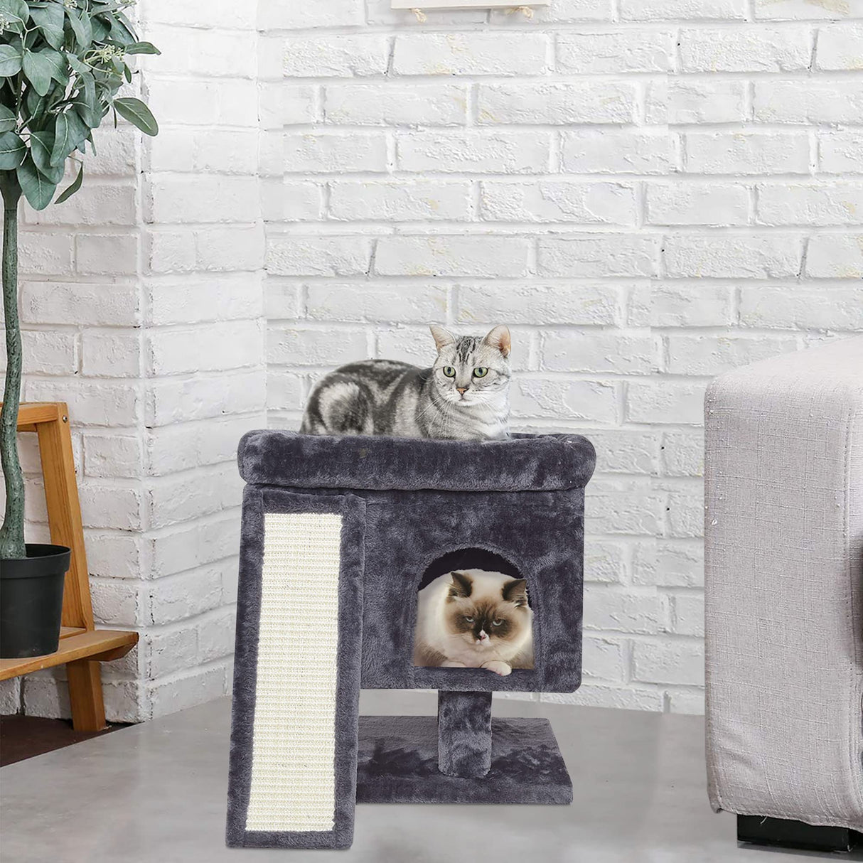 SYANDLVY Small Cat Tree for Indoor Cats Large Adult, Cat Tower with Scratching Post, Modern Cat House with Padded Perch, Kittens Condo with Board, Cat Cave (Smoky Grey) SYANDLVY