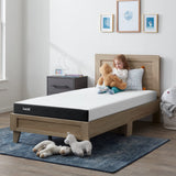 LUCID 5 Inch Firm Gel Memory Foam Mattress + Premium 100% Waterproof Cotton Terry Top Mattress Protector - Queen Size LUCID